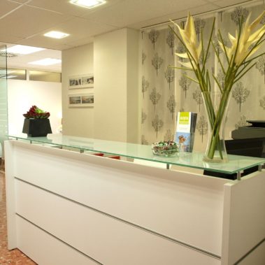 Recepción de la consulta